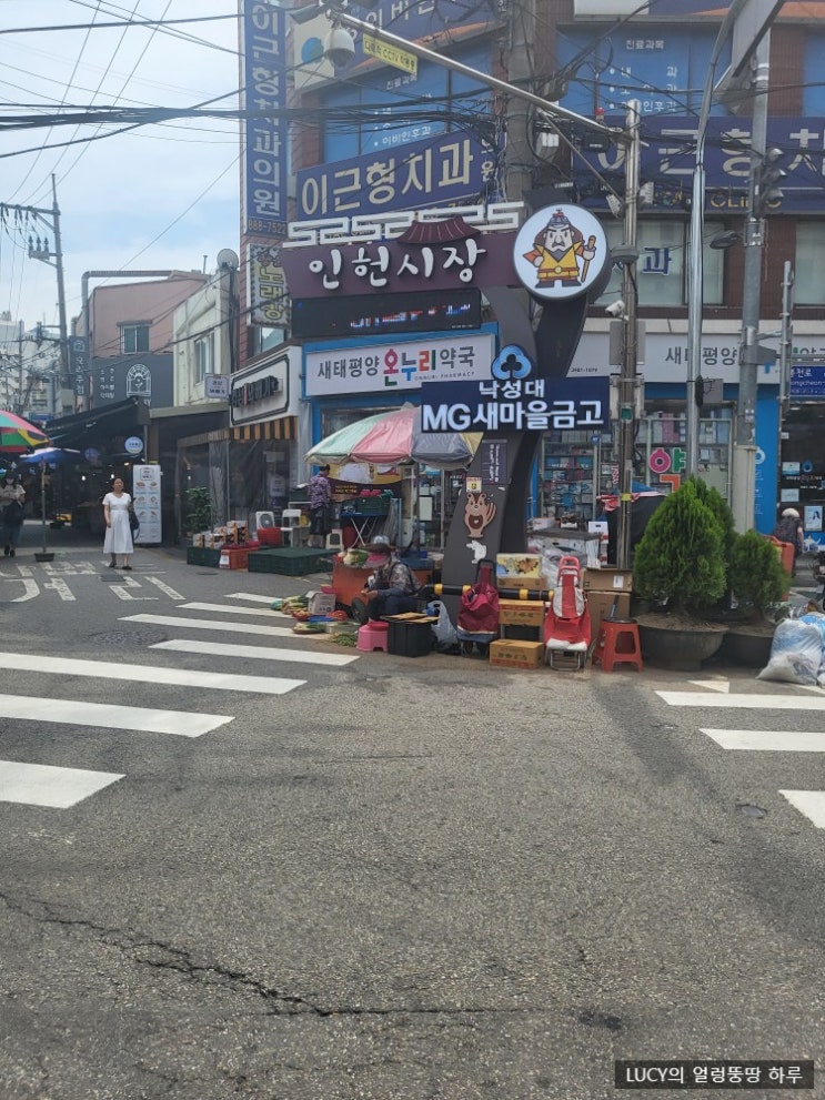  [내돈내산] 낙성대초밥 맛집/스시잇신 내친구지만 너무너무 너무 맛있음