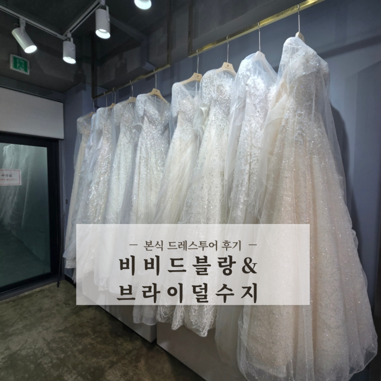  비즈맛집 비비드블랑 브라이덜수지 본식 드레스투어 후기 (당일혜택공유)