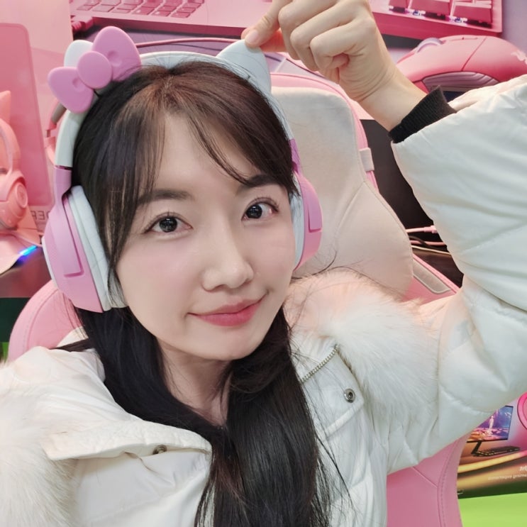  레이저 전시매장 미래컴 방문해서 데스크테리어 공부방 꾸미기