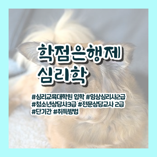  학점은행제 독학사 심리학 학사 확인해봤나요 !!!