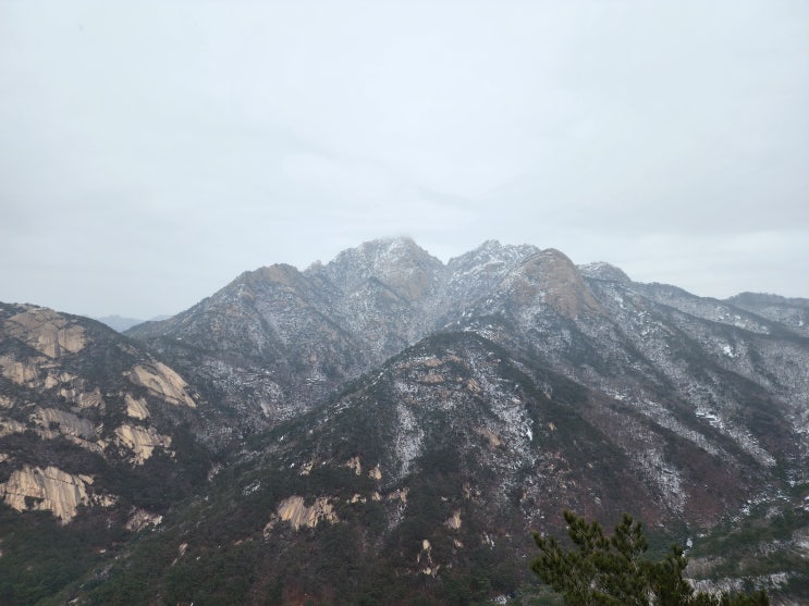 북한산 의상능선 등산코스로의 산행 with 블랙팬서 흑표범바위 북한산 의상능선 등산코스로의 산행 with 블랙팬서 흑표범바위