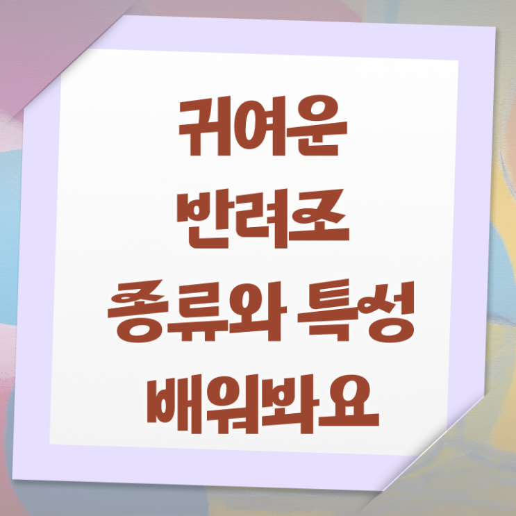  반려조관리사 1급 자격증 취득방법 정보 꾸러미 ? 한국자격검정원