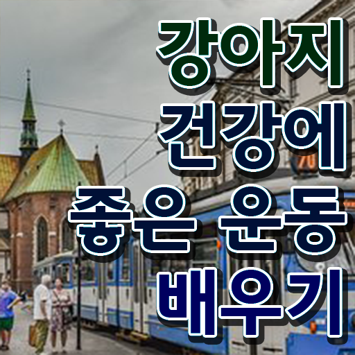  반려견운동지도사 자격증 1급 무료수강 완벽 정리 !!!