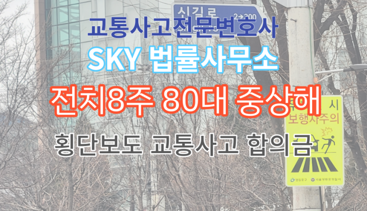  [손해배상전문변호사] 경남 남해 80대 피해자 전치8주 출혈 상해 합의금은? 전동휠체어 횡단보도 교통사고 무료 법률 손해사정 상담