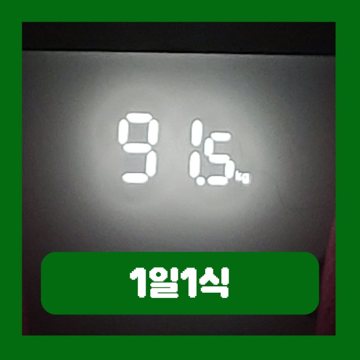  1일1식 다이어트 종류 장점 단점 주의할점