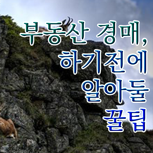  부동산 책 부동산공부책 부동산권리분석사 시험 준비 알고 싶은 정보 가득 !