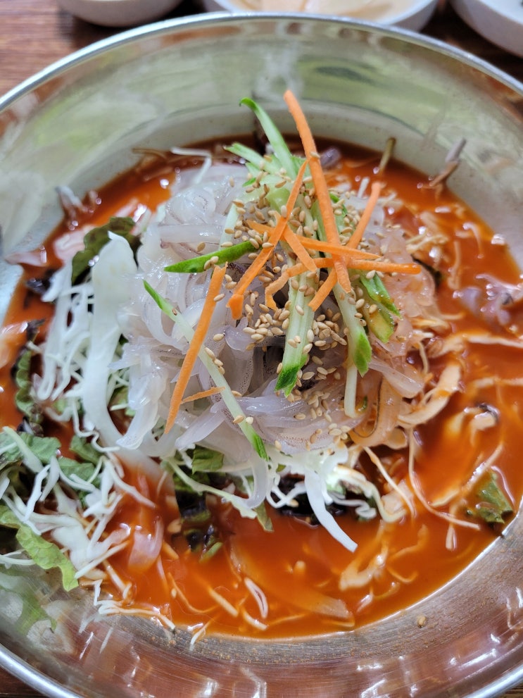  서울 물회맛집 오징어물회냉면 강동구 냉면 맛집 강동구청 냉면 성내동 냉면맛집 강동구물회 성내동물회 천호동물회 강동구 물회냉면 오징어물회맛집 오징어물회냉면 최냉면