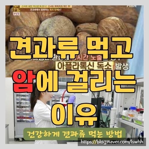 다이어트에 좋은 견과류가 발암 물질을 생성한다고? - 아몬드, 호두 효능 및 하루섭취량 그리고 먹는 법