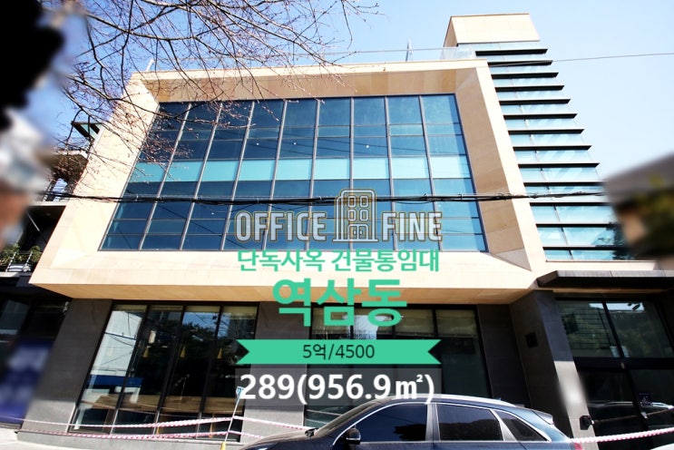  [강남 사옥] 신논현역 8분 역삼동 289(956.9) 코너 건물 단독 사옥 건물 통임대 [역삼동 사옥]