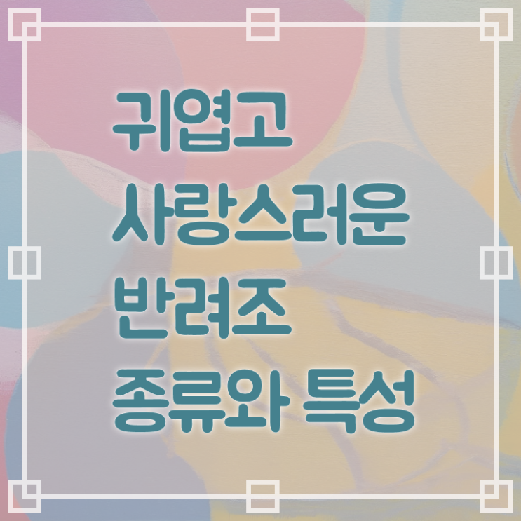  반려조관리사 1급 자격증 빠른 취득 이건 꼭 봐야해요 ! 한국자격검정원