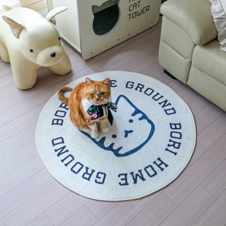  귀여운 고양이 러그 반려동물 커스텀 가능한 개랑노른자 아이러그유