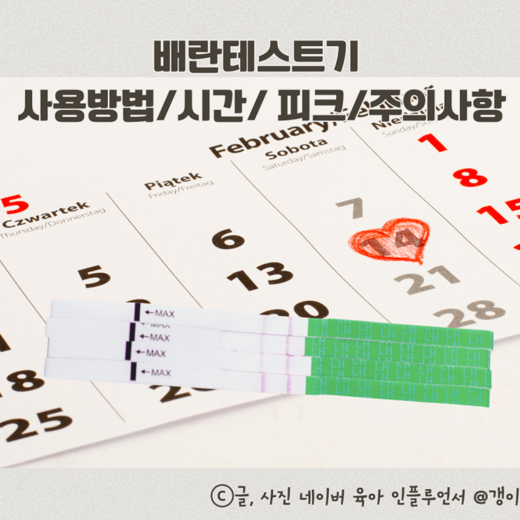  배란테스트기 사용법 배테기 피크