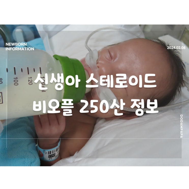 신생아 정보 아기 항생제 정장제 비오플 250산 정보와 효과 및 부작용