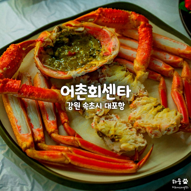  속초 대포항 횟집 추천 대게&활어회 맛집 대포어촌회센타