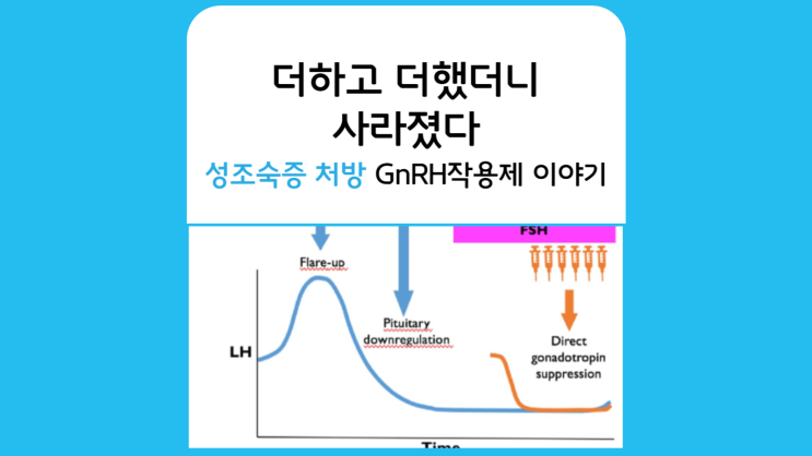 GnRH agonist(작용제), antagonist(길항제) 설명