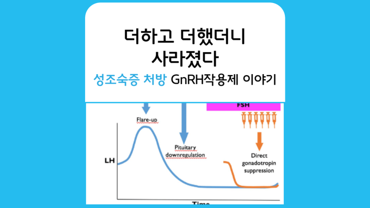  GnRH agonist(작용제), antagonist(길항제) 설명