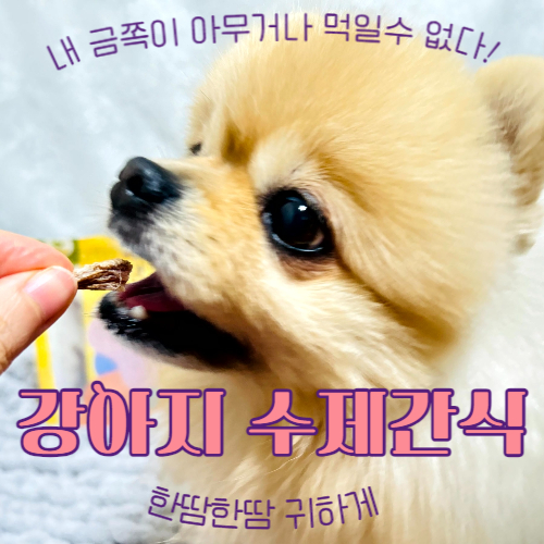  강아지수제간식 후기, 대환장 오리고기 파티(feat.댕첩반상)