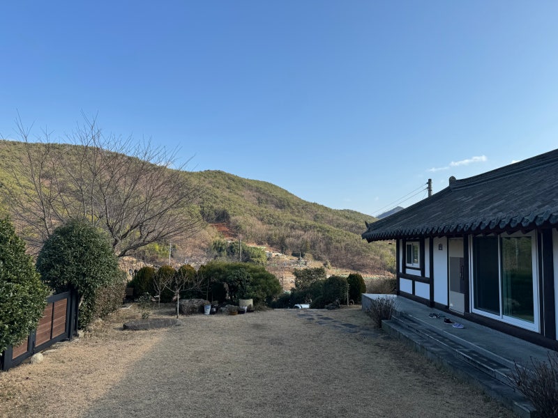 사진 3