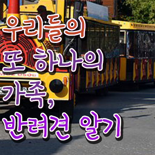  반려동물 관리사 시험 하는일 제가 알려드릴게요 ~