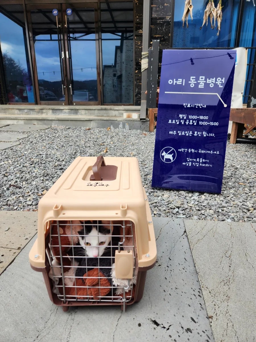 아리동물병원 사진 1