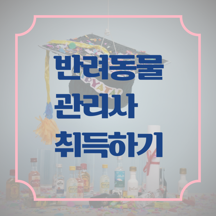  강아지 훈련사 오산 강아지 훈련사 반려동물관리사 자격증 정보 이것만 보세요 .
