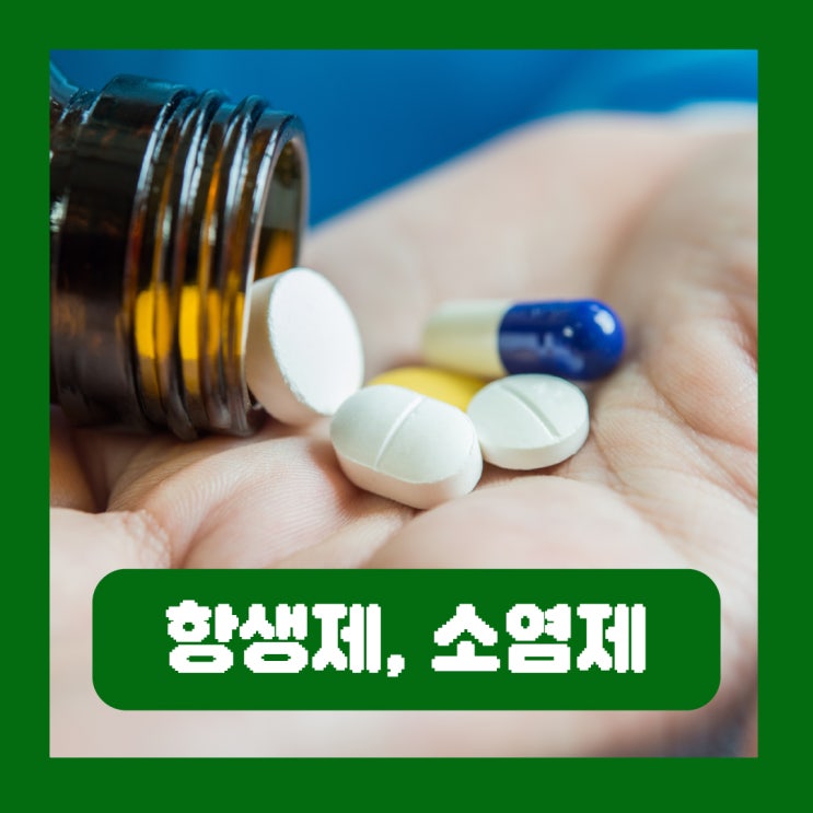  항생제 소염제 차이 용도 종류 부작용