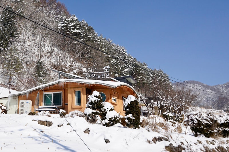 사진 3
