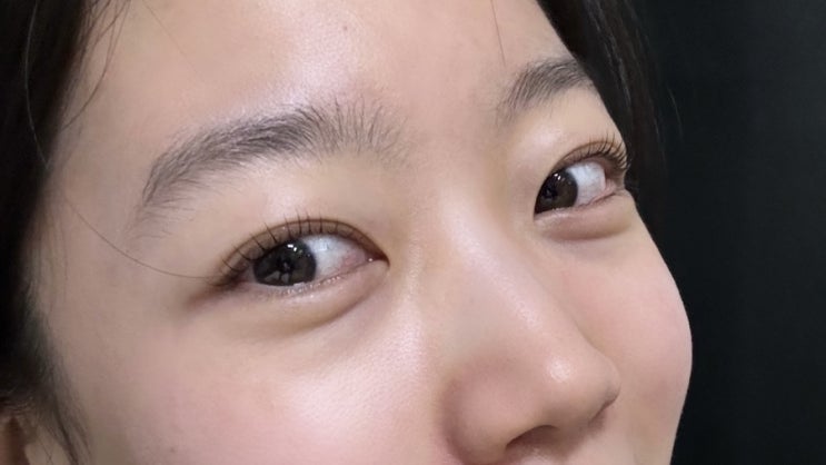  [리뷰] 신논현 속눈썹펌 _ 화인뷰티
