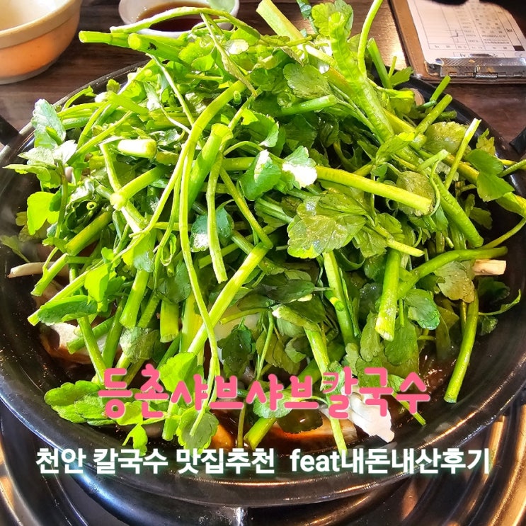  등촌샤브샤브칼국수 [천안 쌍용동 칼국수맛집추천 feat내돈내산후기]