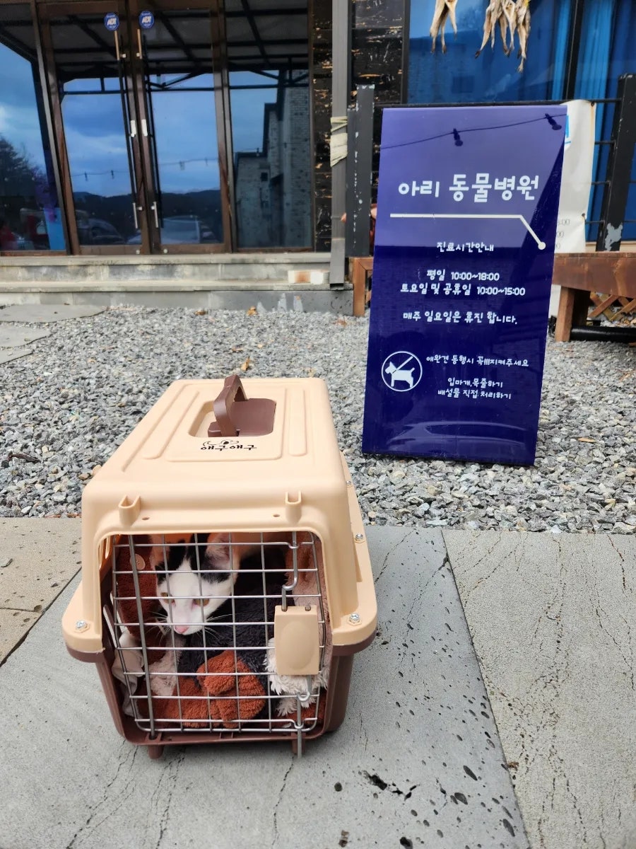 아리동물병원 사진 2