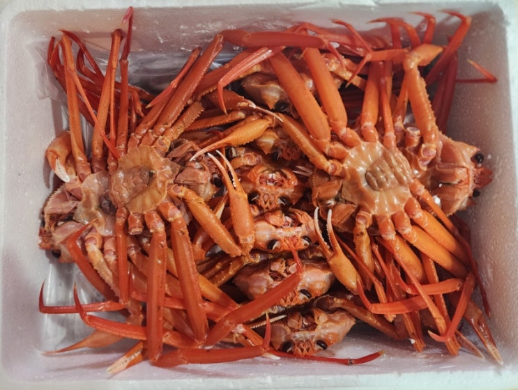  박달홍게 수산물을 부탁해