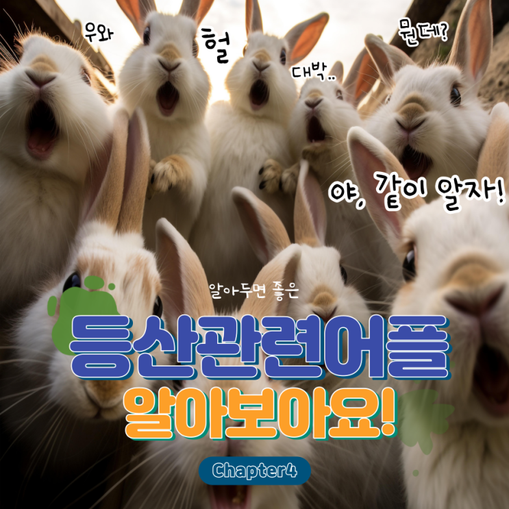 트랭글 운동기록 어플 설명 및 사용법 트랭글 운동기록 어플 설명 및 사용법