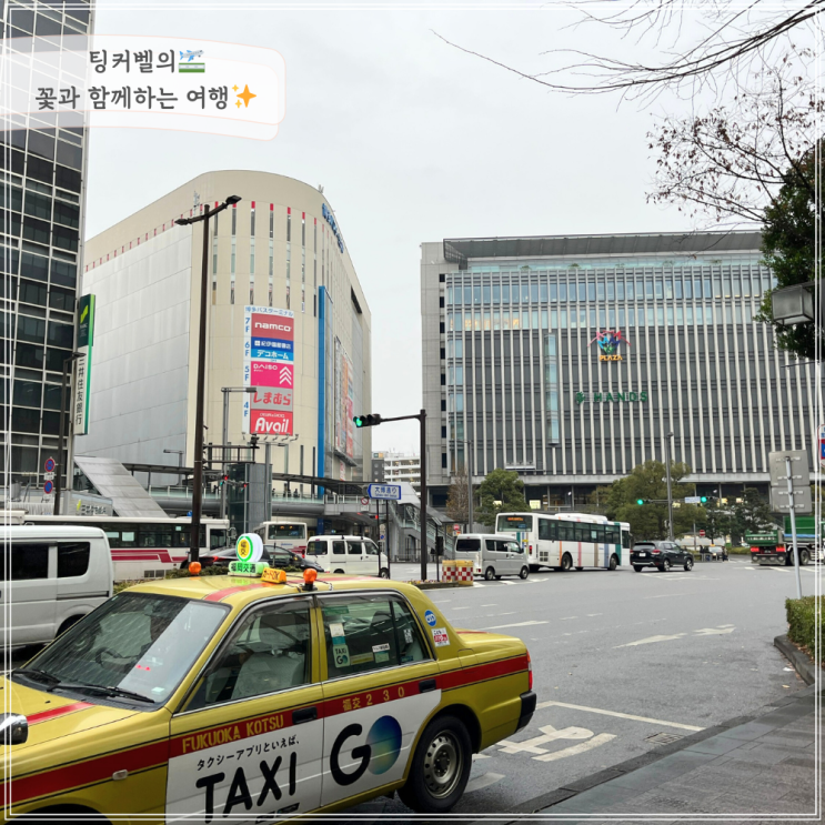  국제 운전면허증 발급 조건 사진 국가 + 3시간만에 발급받는법
