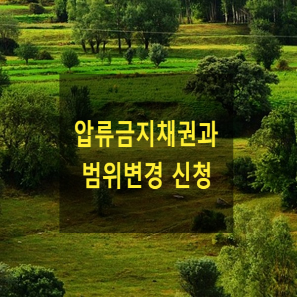  압류금지채권과 범위변경 신청(최저생계비, 진료비, 치료비 등)