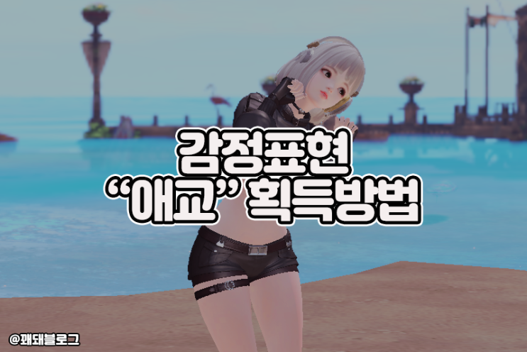  로스트아크 감정표현 애교 획득방법