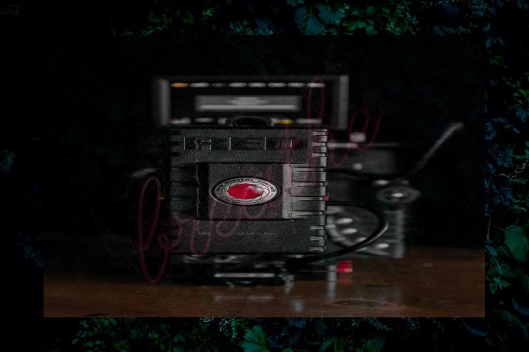 겨울 속의 사랑 이야기: 닥터 지바고의 낭만적 서사시