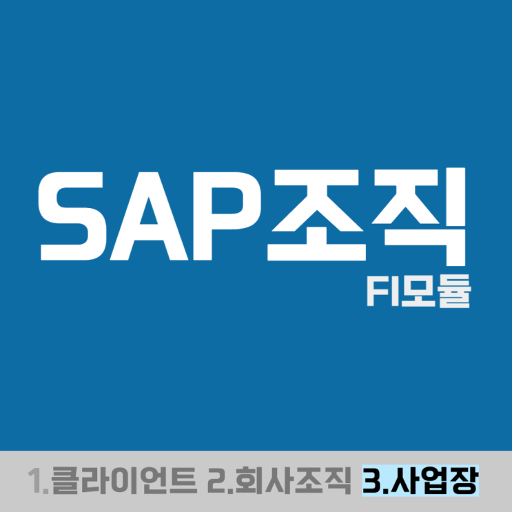 SAP조직(사업장) - FI모듈