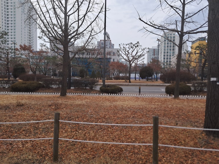  상주 손해사정사 및 손해사정인의 명석하면서 똑똑한 해설과 상담