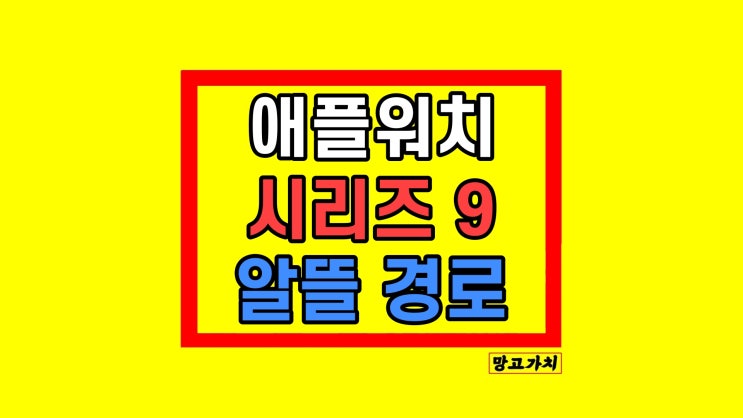 애플워치9 45mm 장단점 구매 가이드