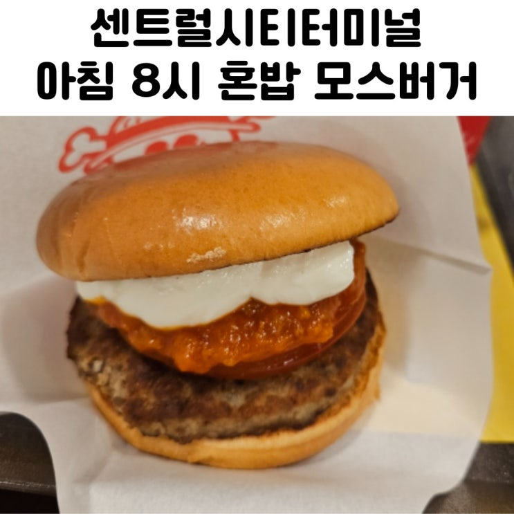 센트럴시티터미널 혼밥 아침 모스버거 후기