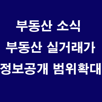  부동산 실거래가 정보공개 범위확대 24년2월13일부터~(동, 빌라등기여부,거래주체 확인가능)