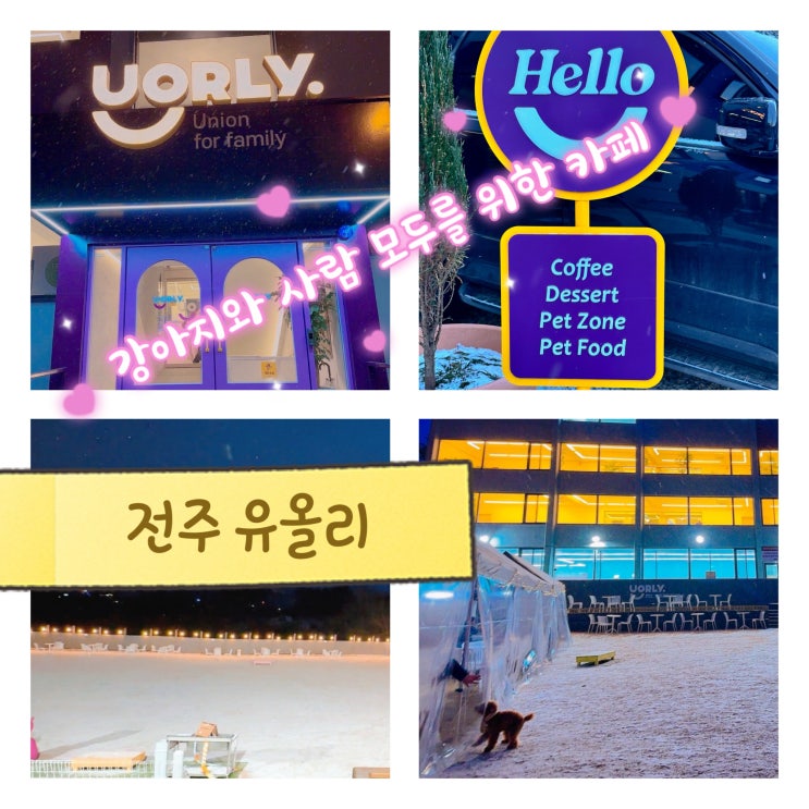  전주 효자동 대형카페 전주 신시가지 애견카페 "유올리"
