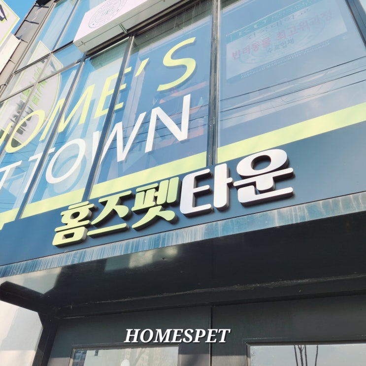  [경산강아지무료분양] 처음 키울 때 좋은 강아지 종류