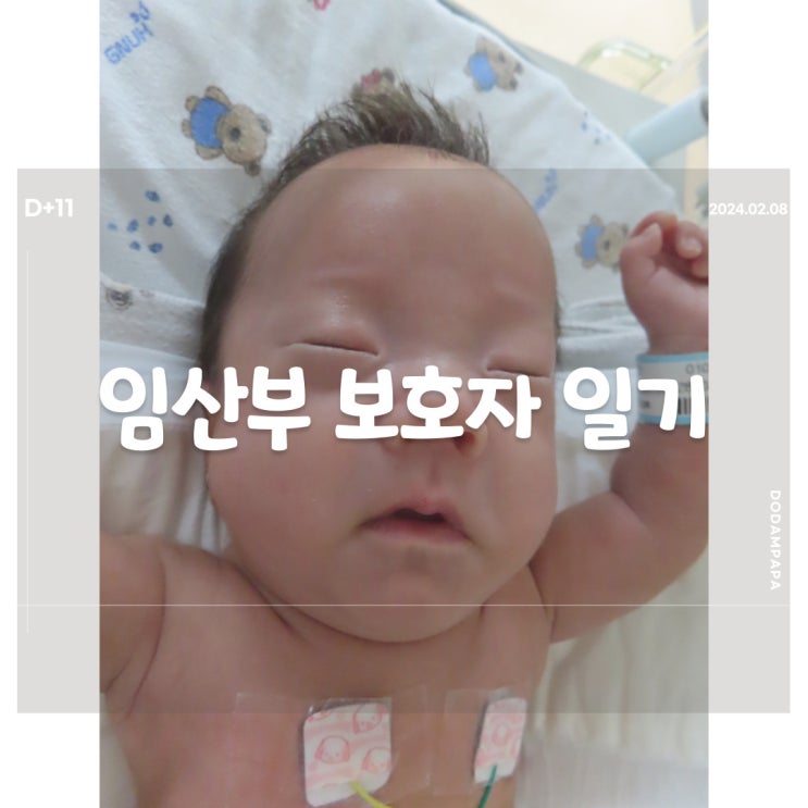 2024.02.08 임산부 보호자 일기 D+11일 2024.02.08 임산부 보호자 일기 D+11일