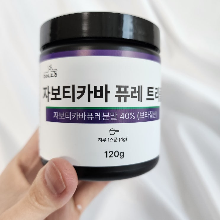  자보티카바 효능 퓨레 브라질산 맛있는 동행