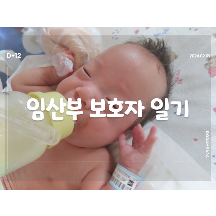 2024.02.09 임산부 보호자 일기 D+12일