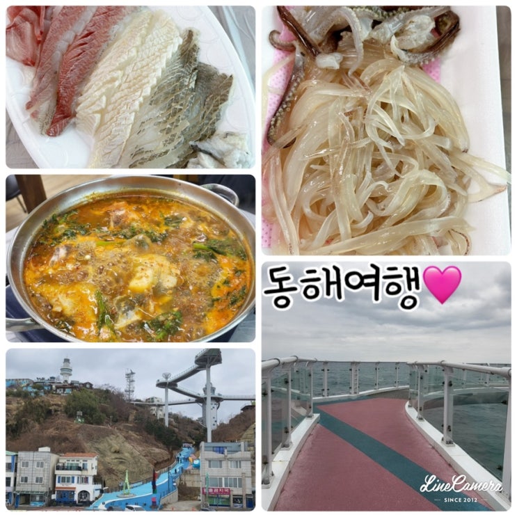  동해 "묵호항"에서 활어회센터 "가미수산"에서 식사 후 "도째비골 해랑전망대"산책후기