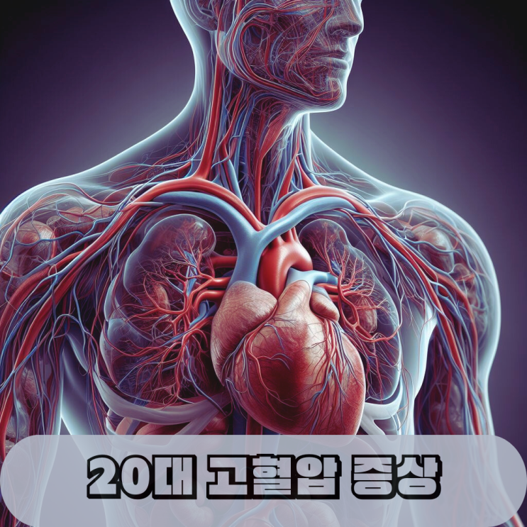  20대 고혈압 원인과 증상, 예방법은?