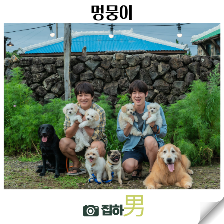  영화리뷰 <멍뭉이> 출연진 평점 정보 한국 가족 코미디 OTT 추천 힐링 동물 드라마