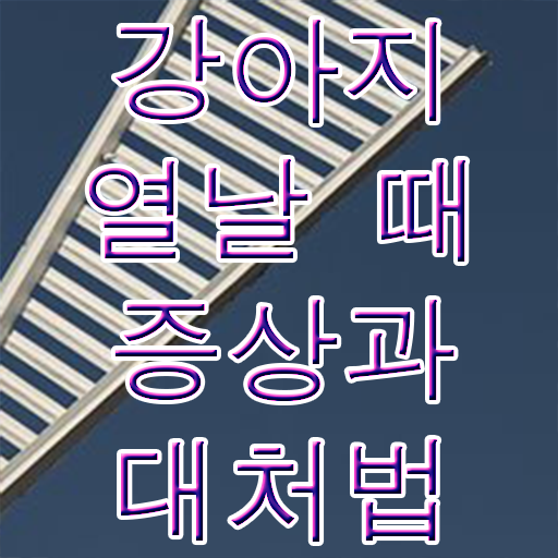  강아지열날때 대처방법 정보 이모저모 ?